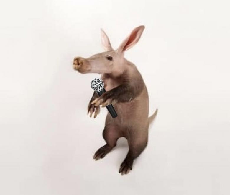 Aardvark Adams Aardvark Adams